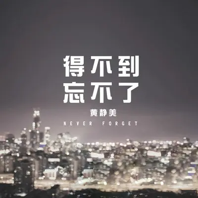 得不到忘不了(DJHouse版)封面