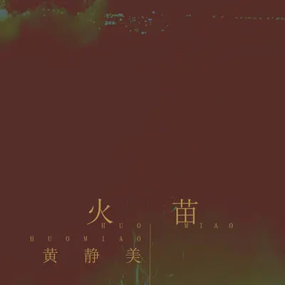 火苗 (DJ.House版)封面