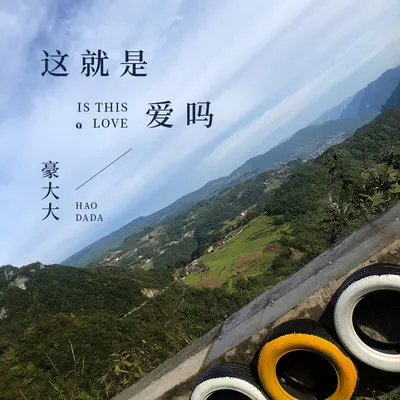 真的爱你(DJ豪大大版)(DJ豪大大版)封面