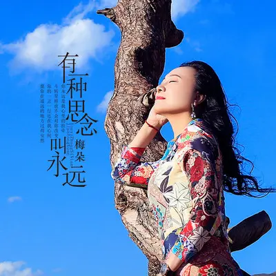 有一种思念叫永远(Dj何鹏版伴奏) - 梅朵封面