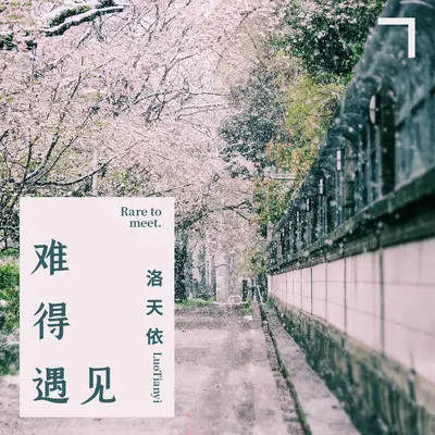 难得遇见(伴奏)封面