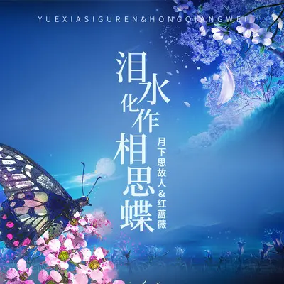 泪水化作相思蝶(对唱版伴奏)封面