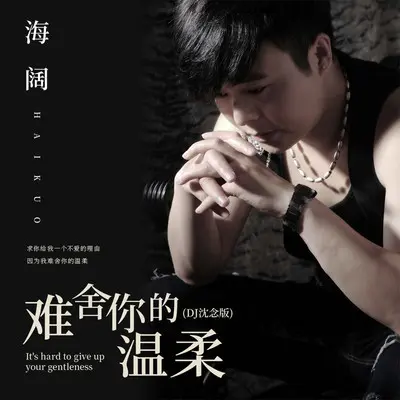难舍你的温柔(DJ沈念版)(DJ沈念版) - 海阔封面