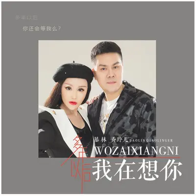 多年以后我在想你(Dj版) - 暴林 / 乔玲儿封面