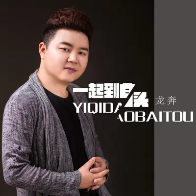 一起到白头(Dj版)封面