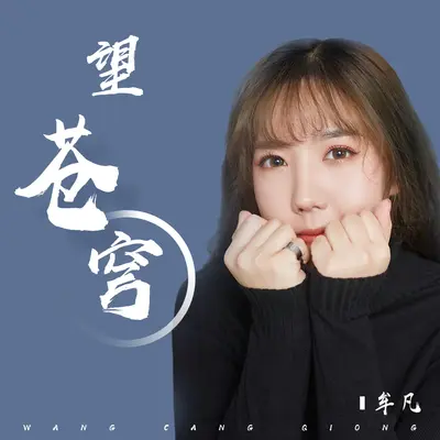 望苍穹封面