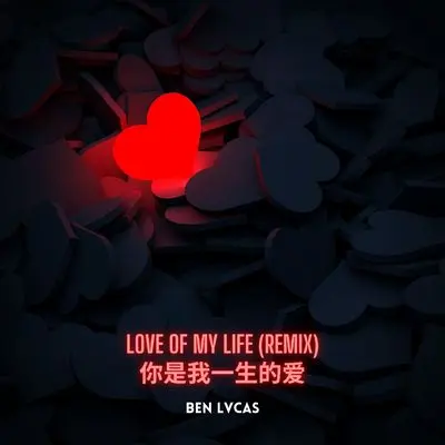 你是我一生的爱 Love Of My Life (Remix) - Ben Lvcas封面