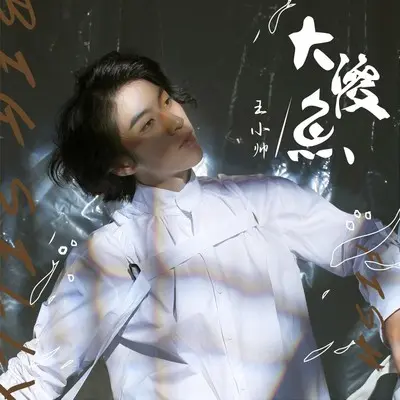 大傻鱼封面
