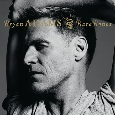 Here I Am (Live Bare Bones + Anderson Hall In Binghamton, Ny 14 6 2010)封面