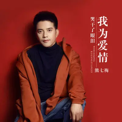 我为爱情哭干了眼泪 (DJheap九天版)封面