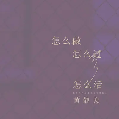 怎么做怎么过怎么活 (DJ.House咚鼓版x0.9) - 黄静美封面