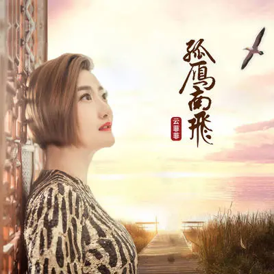 孤雁南飞封面