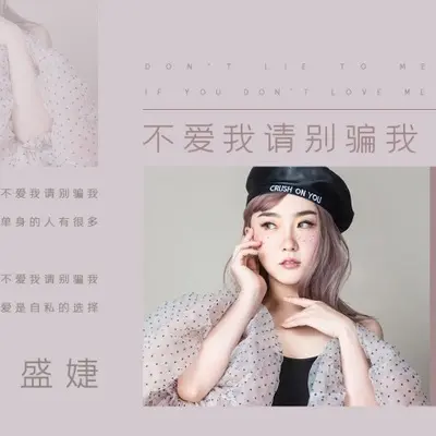 不爱我请别骗我（伴奏） - 盛婕封面