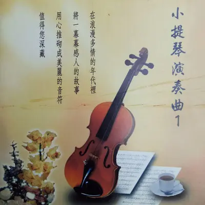 东山飘雨西山晴封面