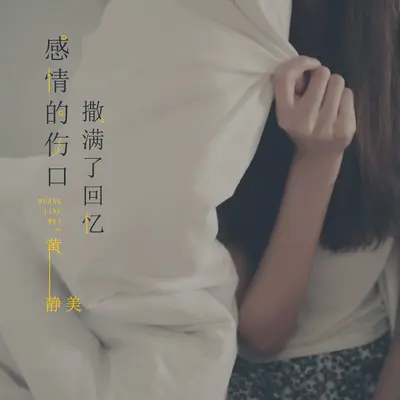 感情的伤口撒满了回忆(完整版)(完整版)封面