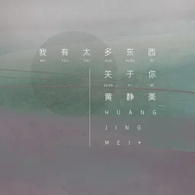 我有太多东西关于你封面
