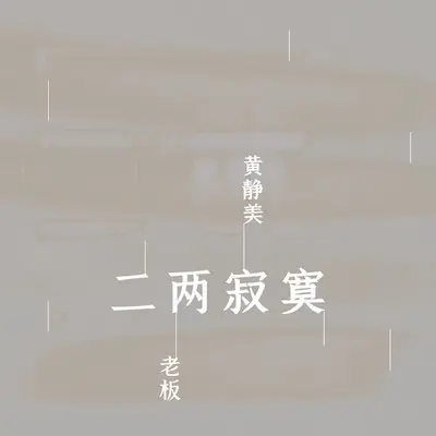 二两寂寞 - 黄静美 / 老板封面