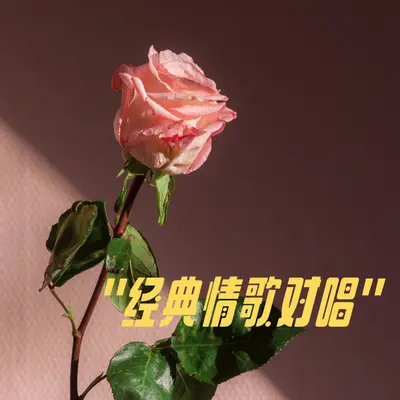 人在旅途洒泪时(电视剧《人在江湖》片头曲)封面