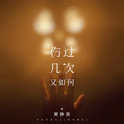 伤过几次又如何(完整版)(完整版)封面