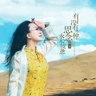 有没有一种思念永不疲惫(伴奏) - 梅朵封面
