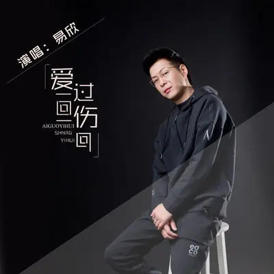 爱过一回伤一回(抖音版)封面