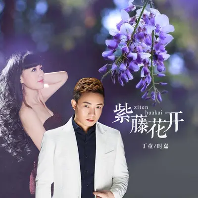 紫藤花开 - 丁童 / 时嘉封面