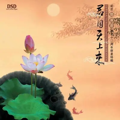 别离 - 杨茜封面