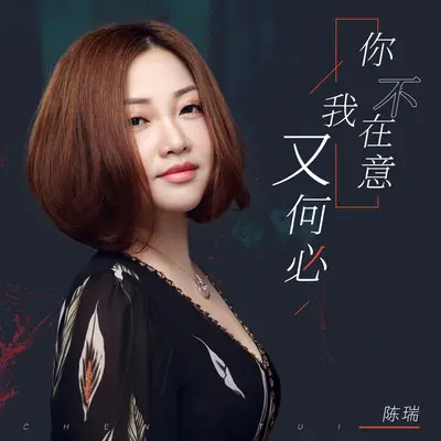 你不在意 我又何必封面