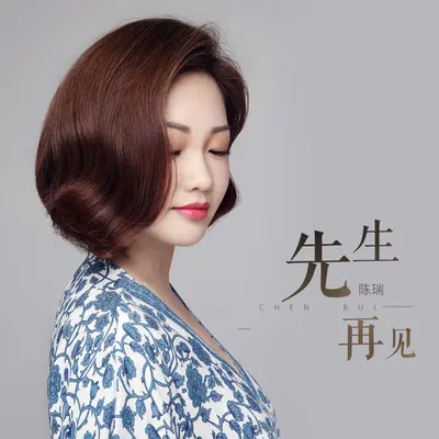 先生 再见(DJ何鹏版)封面