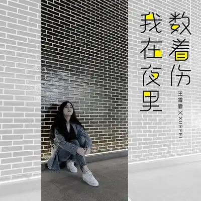 我在夜里数着伤(DJ版)(DJ版)封面