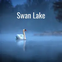 Tchaikovsky: Swan Lake, Op.20, TH.12 / Act 4: No.29 Scène finale (Andante)