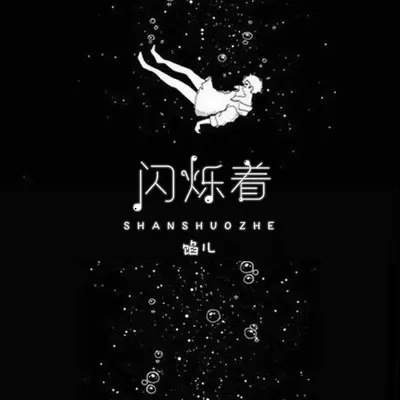 闪烁着 (DJ沈念版)封面