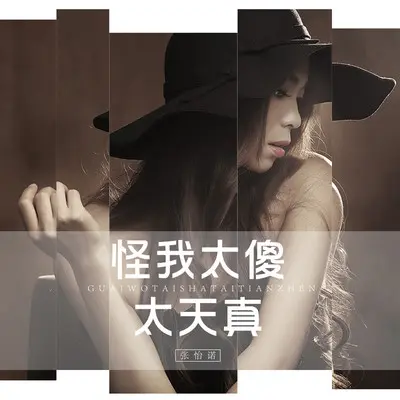 怪我太傻太天真(DJ版)封面