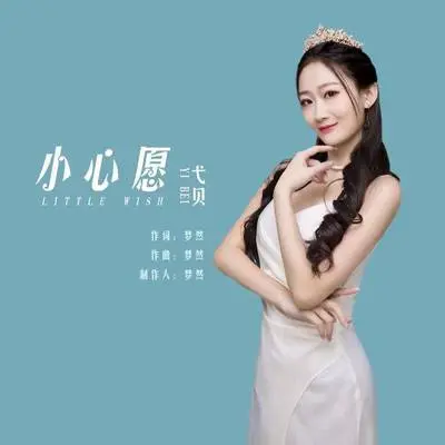 小心愿封面