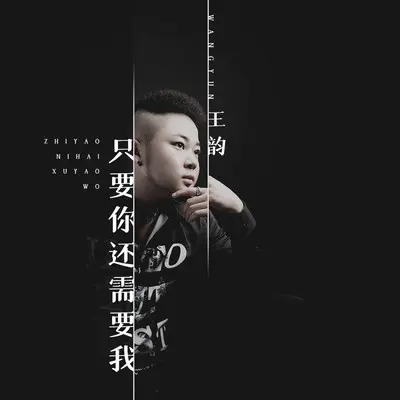只要你还需要我 (DJ何鹏版) - 王韵封面