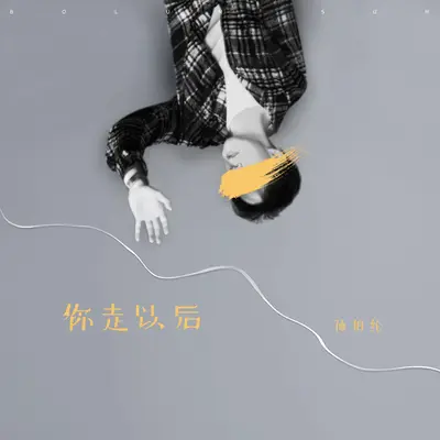 你走以后封面