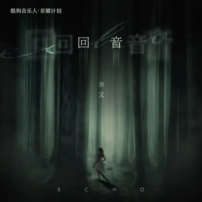 回音 (DJ沈念版)封面