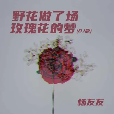 野花做了场玫瑰花的梦(DJ默涵版) - 杨友友封面