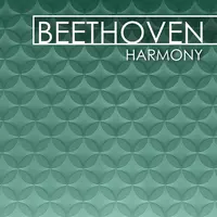 Beethoven: Piano Sonata No. 8 in C Minor, Op. 13 - 
