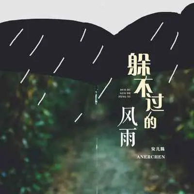 躲不过的风雨封面