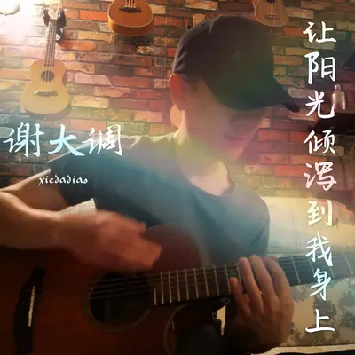 青鸟封面