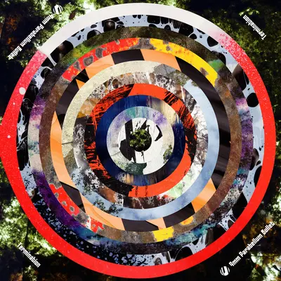 Butterfly Effect (蝴蝶效应) - 9mm Parabellum Bullet封面