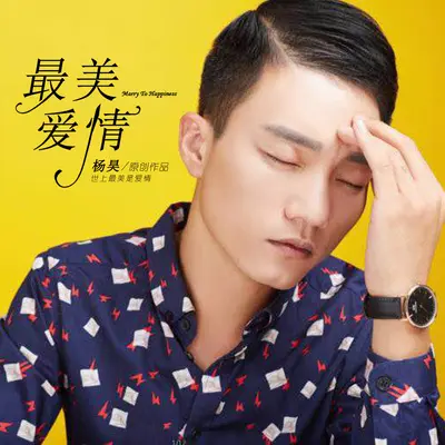 最美爱情（完整版）封面
