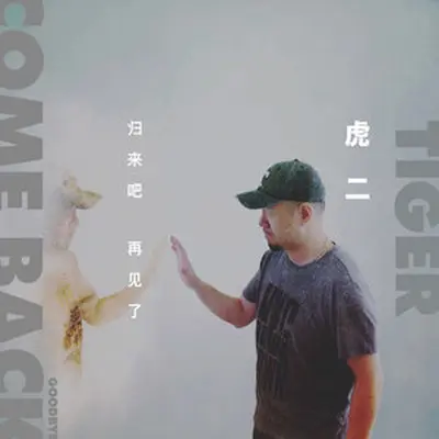 归来吧 再见了封面