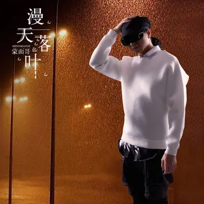 漫天落叶封面