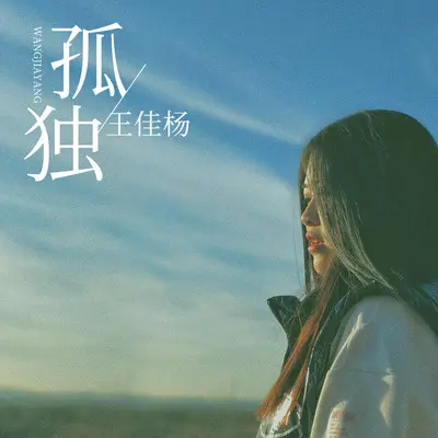 孤独 (DJ何鹏版)封面