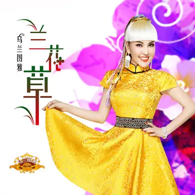 兰花草封面