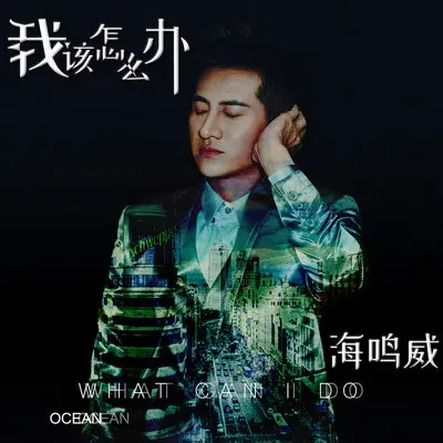 我该怎么办封面