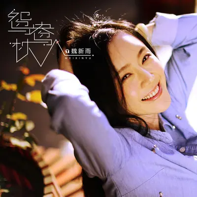 鸳鸯枕 (伴奏) - 魏新雨封面