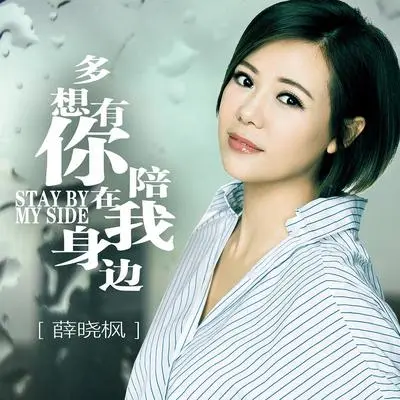 多想有你陪在我身旁 (DJ版)封面